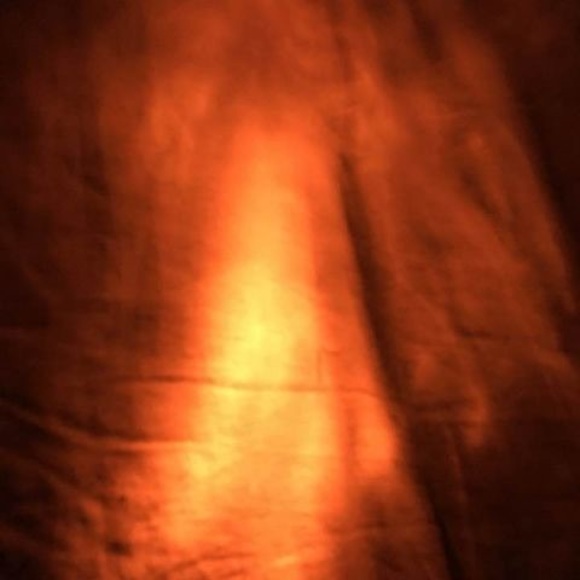 Meet your Posher, Steven - Picture 1 of 1